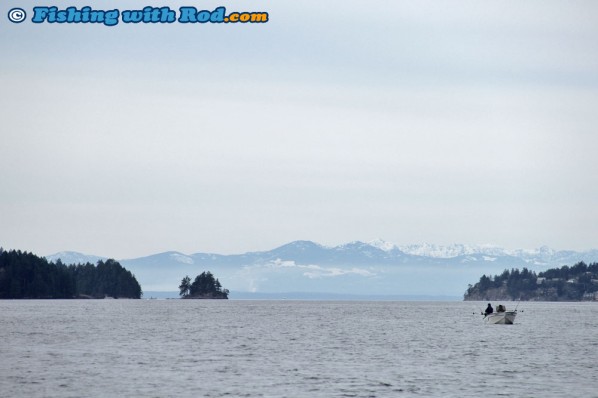 Howe Sound Salmon Fishing