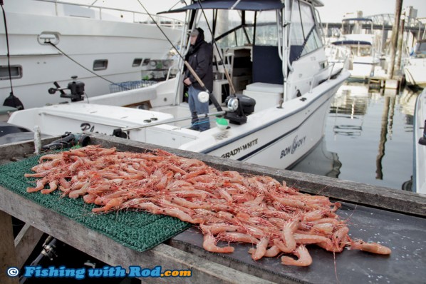 BC Spot Prawn Feast