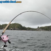 Islander Mooching Reels and Shimano Rods are Standard Setups for Salmon Trolling