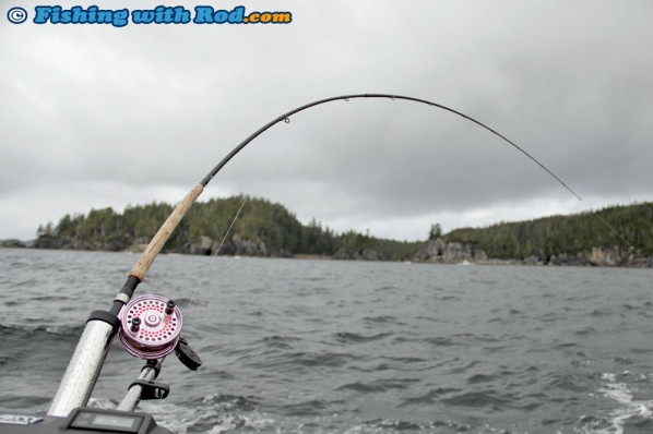 Islander Mooching Reels and Shimano Rods are Standard Setups for Salmon Trolling