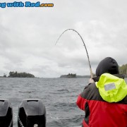 Battling a Chinook Salmon on the West Coast of Vancouver Island