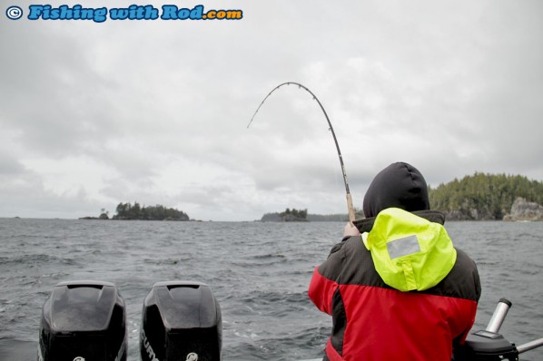 Battling a Chinook Salmon on the West Coast of Vancouver Island