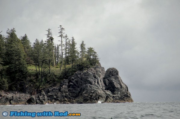 Spectacular Scenery on the West Coast of Vancouver Island