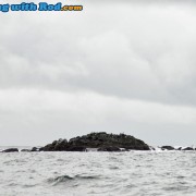 Spectacular Scenery on the West Coast of Vancouver Island