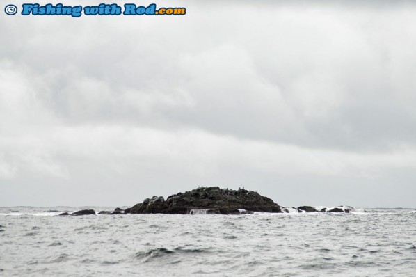 Spectacular Scenery on the West Coast of Vancouver Island