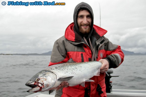 Dan's Chinook Salmon