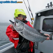 Kitty’s Beautiful Chinook Salmon from Barkley Sound BC