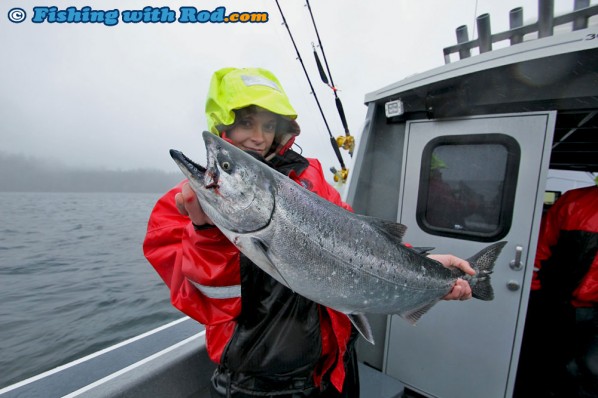 Kitty's Beautiful Chinook Salmon from Barkley Sound BC