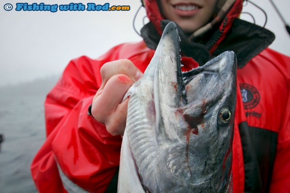 An Injured Knuckle while Fishing for Chinook Salmon