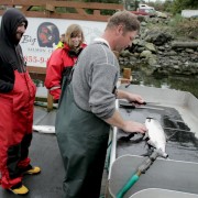 Cleaning our Catches at Big Bear Salmon Charters