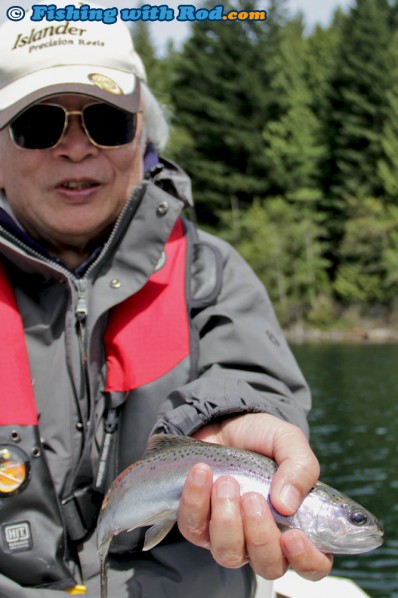 A Native Rainbow Trout from Hicks Lake BC
