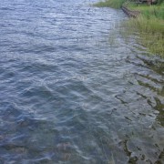 Clear water at St Mary Lake on Salt Spring Island