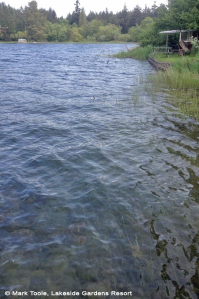 Clear water at St Mary Lake on Salt Spring Island