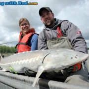 Fraser River White Sturgeon