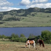 Amazing View While Driving Through Douglas Lake Ranch BC