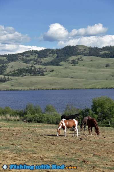 Amazing View While Driving Through Douglas Lake Ranch BC