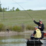 Jumpy Pennask Rainbow Trout