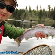 A beautiful rainbow trout from Salmon Lake BC