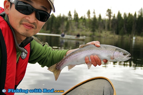 A beautiful rainbow trout from Salmon Lake BC