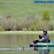 Fighting a Brook Trout