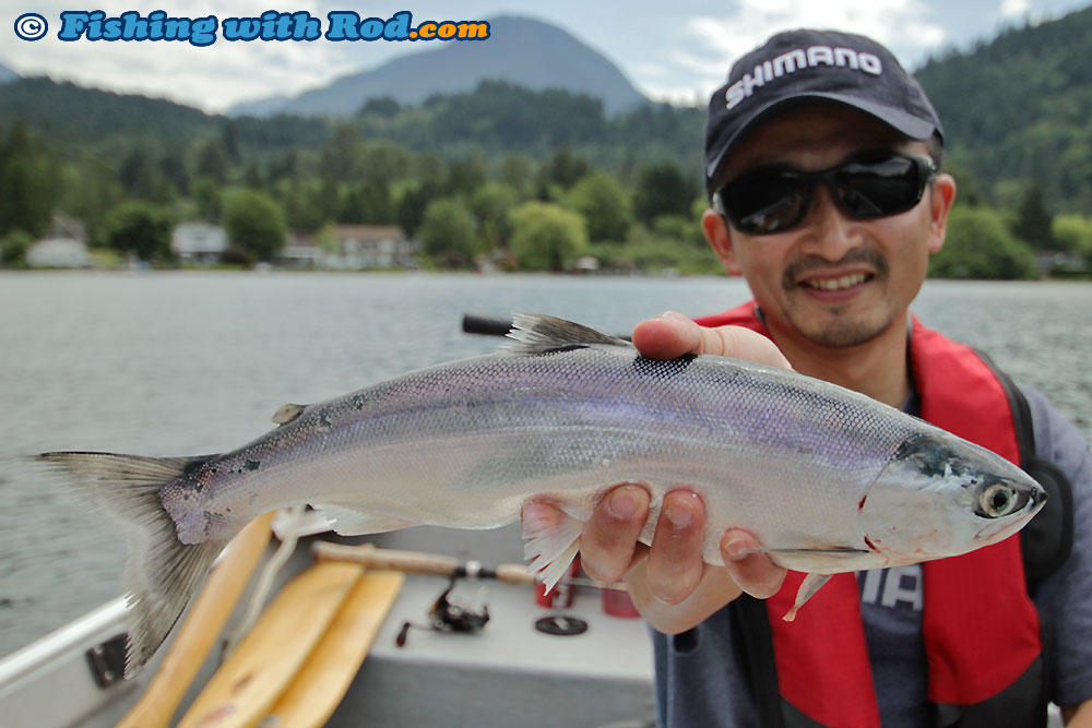 Big 16 Inch Long Kawkawa Lake Kokanee « Fishing with Rod Blog