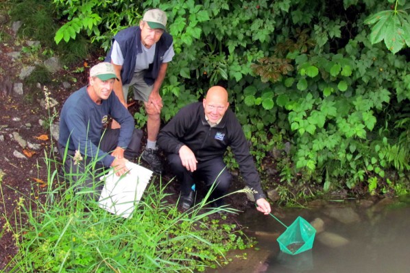 Port Coquitlam Mayor Greg Moore Releases Salmon Fry