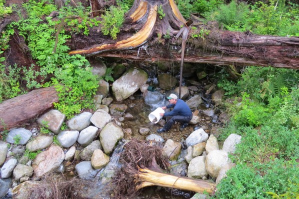 Hyde Creek Watershed Society President Cliff Kelsey