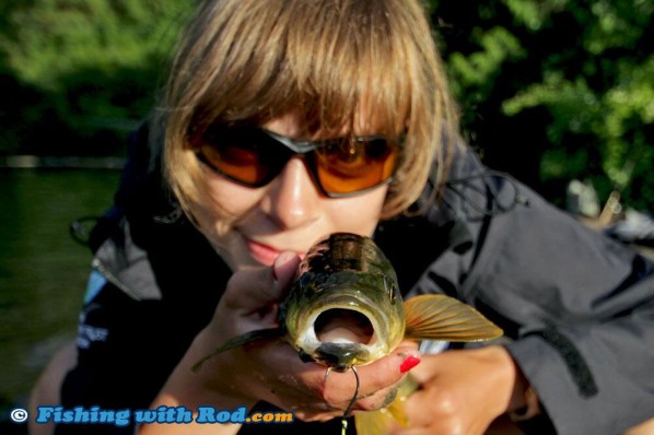 Cultus Lake Northern Pikeminnow