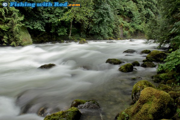 Another Beautiful BC River