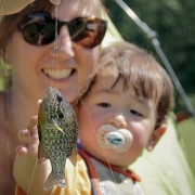 Pumpkinseed Sunfish