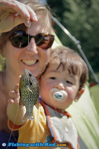 Pumpkinseed Sunfish