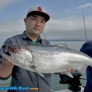 Fraser River Chinook Salmon