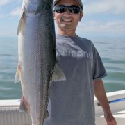 Nice Fraser River Sockeye Salmon