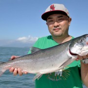 Another Fraser River Sockeye Salmon