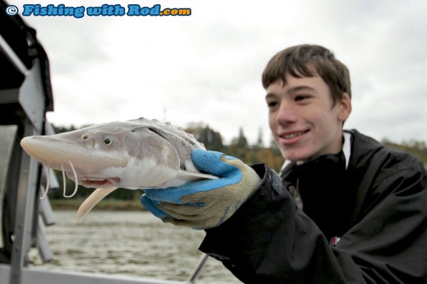 Alex's first white sturgeon