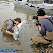 Alex’s first big white sturgeon