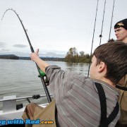 Battling a white sturgeon