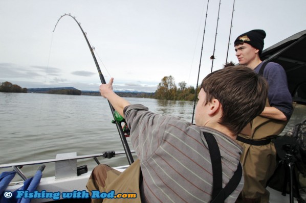 Battling a white sturgeon