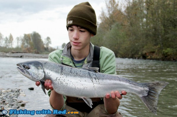 Alex's coho salmon