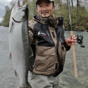 A nice Chilliwack River coho salmon