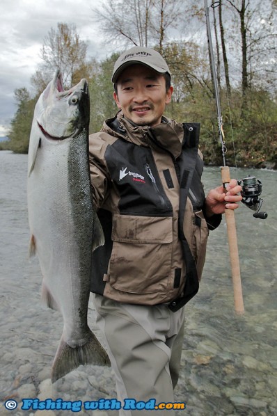 A nice Chilliwack River coho salmon