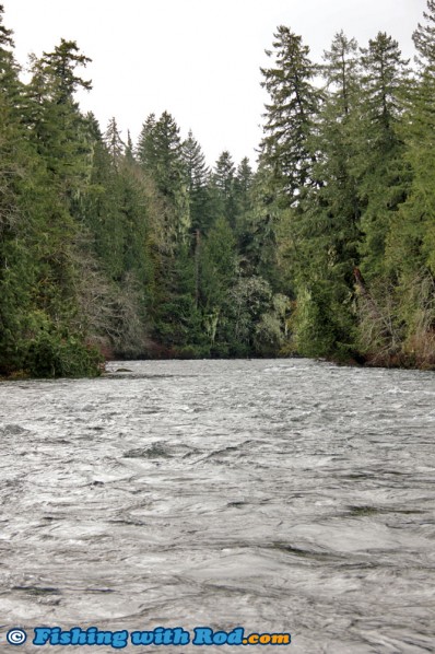 Sproat River on Vancouver Island