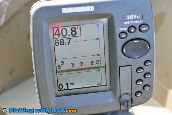 Kokanee on the Humminbird Sounder