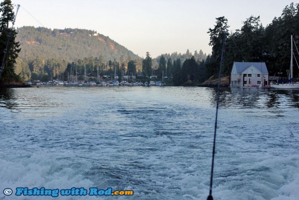 Pedder Bay Marina