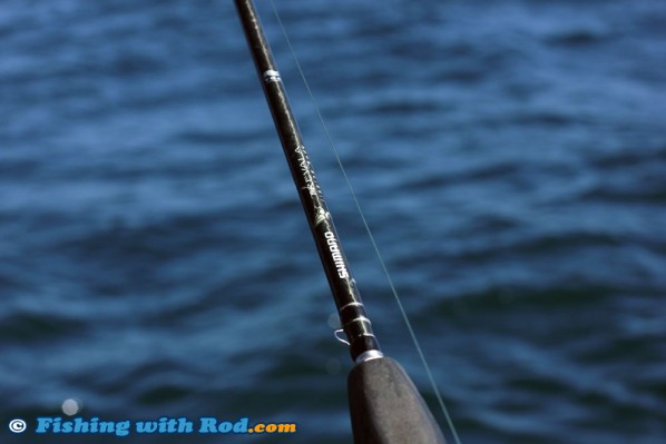 Shimano Trevala Rods, the Best for Halibut Fishing