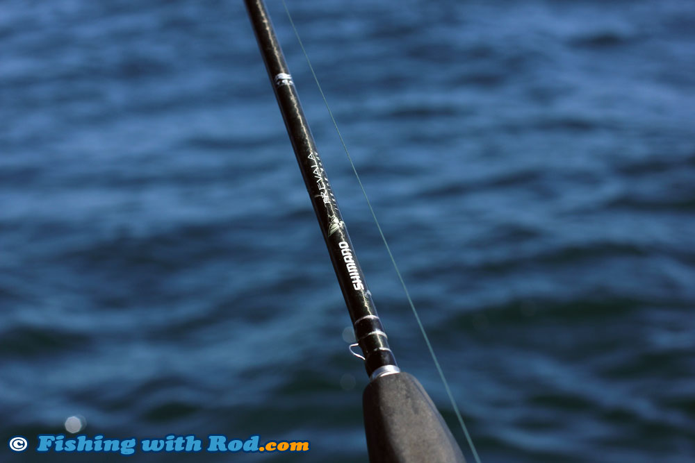 Shimano Trevala Rods, the Best for Halibut Fishing « Fishing with