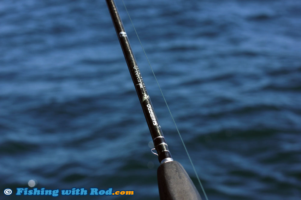 http://www.fishingwithrod.com/blog/wp-content/uploads/2015/06/150610-04.jpg