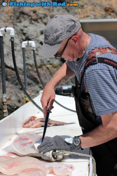 Guide Gord Gavin Cleaning and filleting Halibut