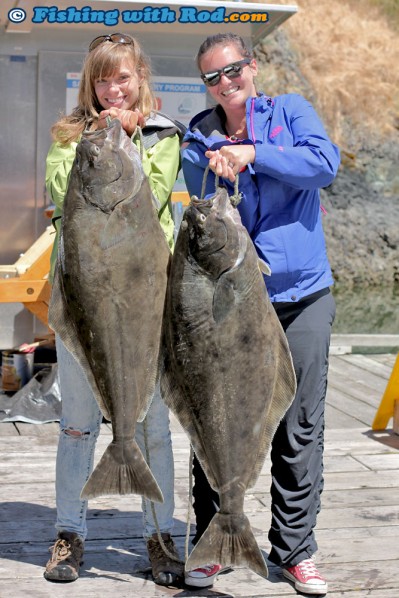 A Pair of Big Halibut