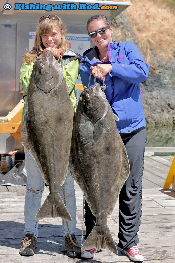 Halibut Fishing from Pedder Bay « Fishing with Rod Blog